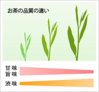 茶の価格の違いは何ですか？
