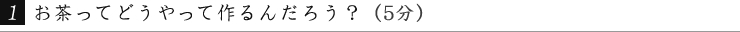 お茶ってどうやって作るんだろう？