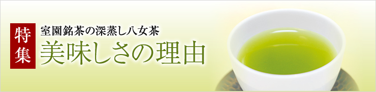 室園銘茶の深蒸し八女茶の美味しさの理由